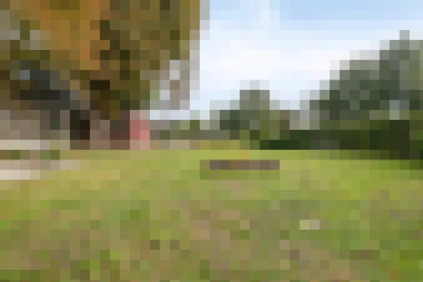 Heideweg 3 Onstwedde thumbnail 44