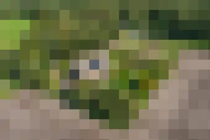 Heideweg 3 Onstwedde thumbnail 61