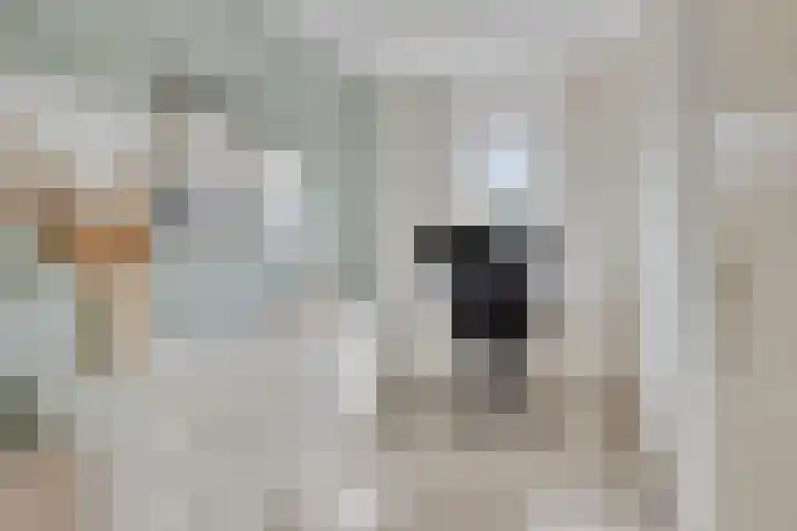 Heideweg 46 Maasbree thumbnail 21