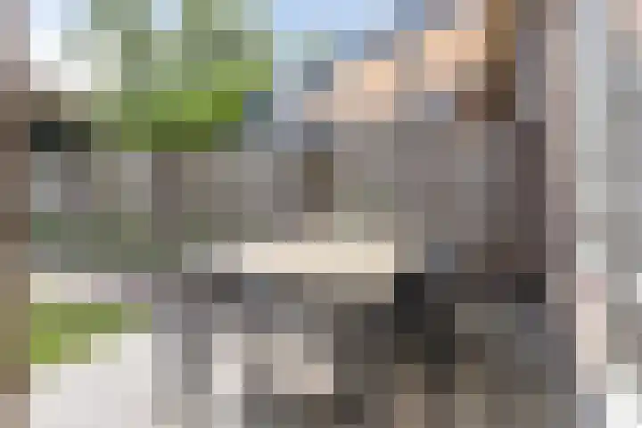 Heideweg 46 Maasbree thumbnail 26