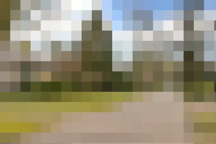Heideweg 66 Soest thumbnail 28