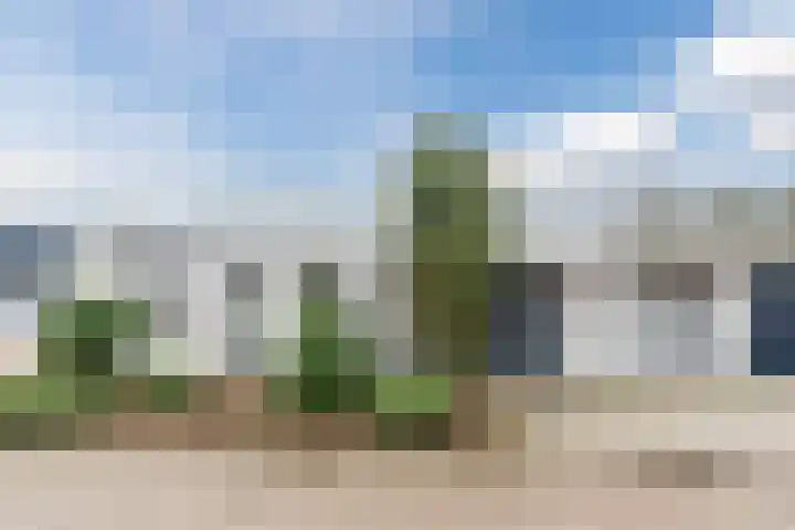 Heidezoom 15 in Geldrop