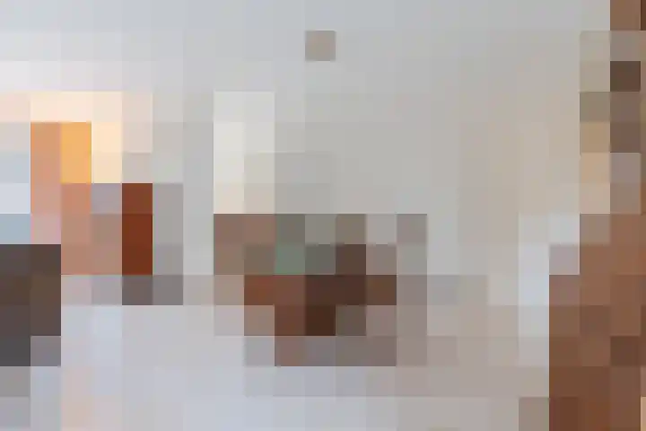 Heidezoom 15 Geldrop thumbnail 12