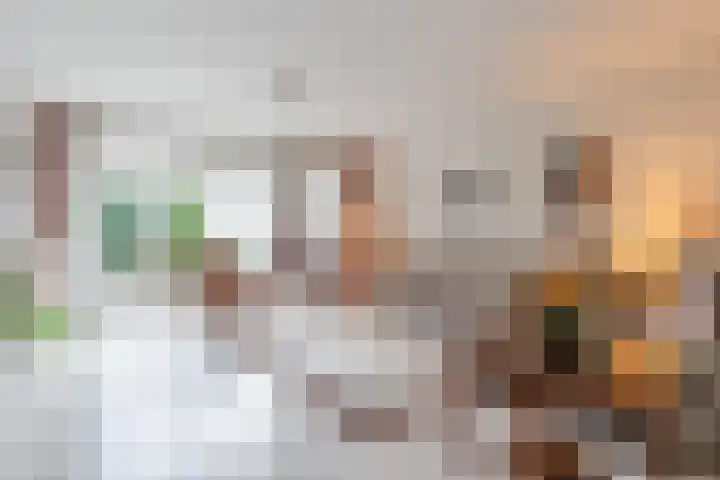 Heidezoom 15 Geldrop foto 2