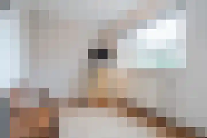 Heidezoom 15 Geldrop thumbnail 24