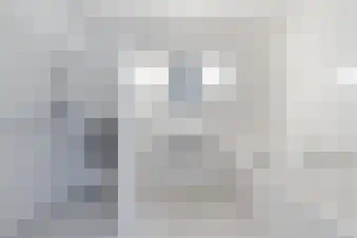 Heidezoom 15 Geldrop thumbnail 26