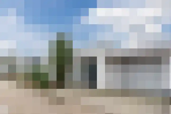 Heidezoom 15 Geldrop thumbnail 34