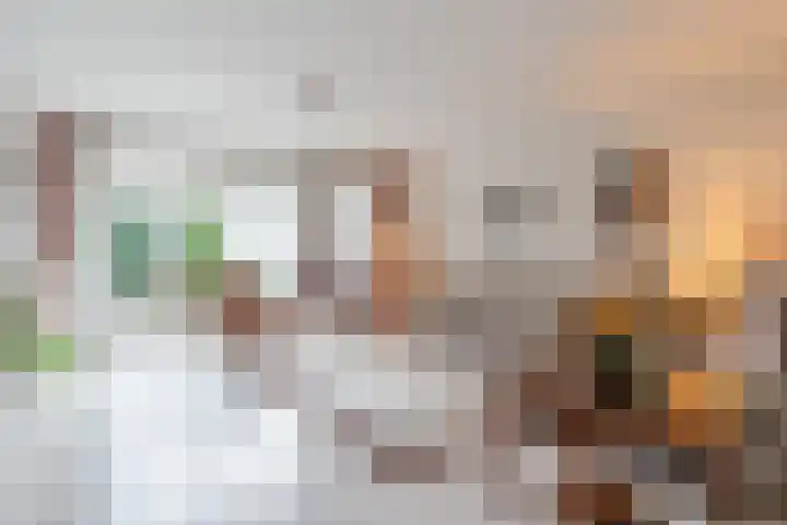 Heidezoom 15 Geldrop thumbnail 5