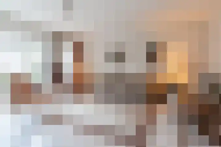 Heidezoom 15 Geldrop thumbnail 6