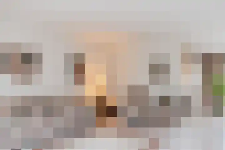 Heidezoom 15 Geldrop thumbnail 7