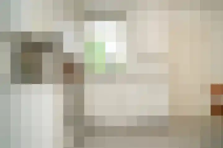 Heidonk 26 Liempde thumbnail 14