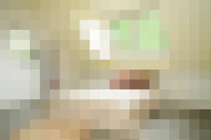 Heidonk 26 Liempde thumbnail 25