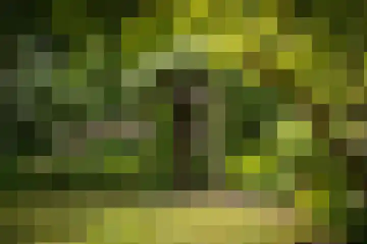 Heidonk 26 Liempde thumbnail 33