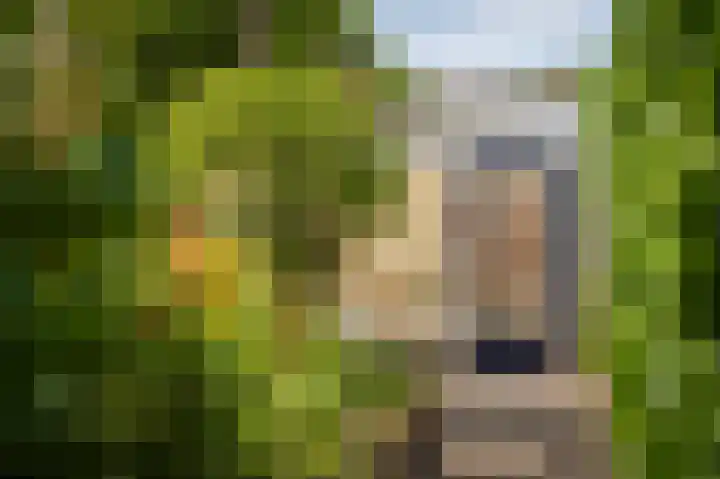 Heidonk 26 Liempde thumbnail 34