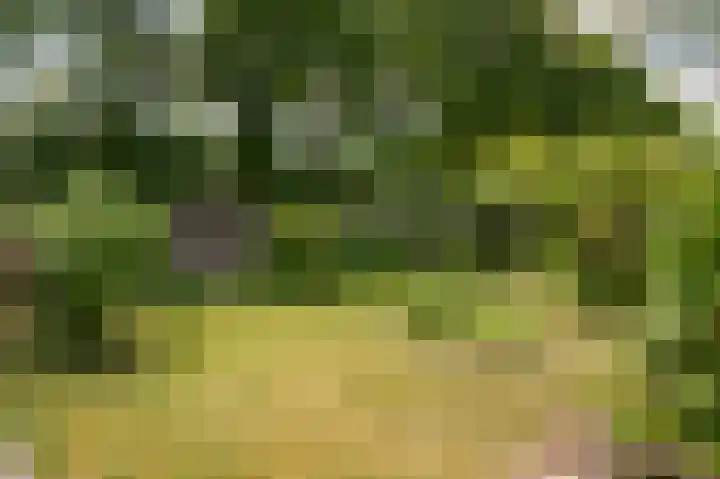 Heidonk 26 Liempde thumbnail 36