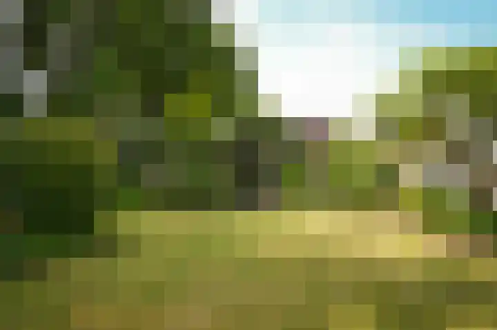 Heidonk 26 Liempde thumbnail 37