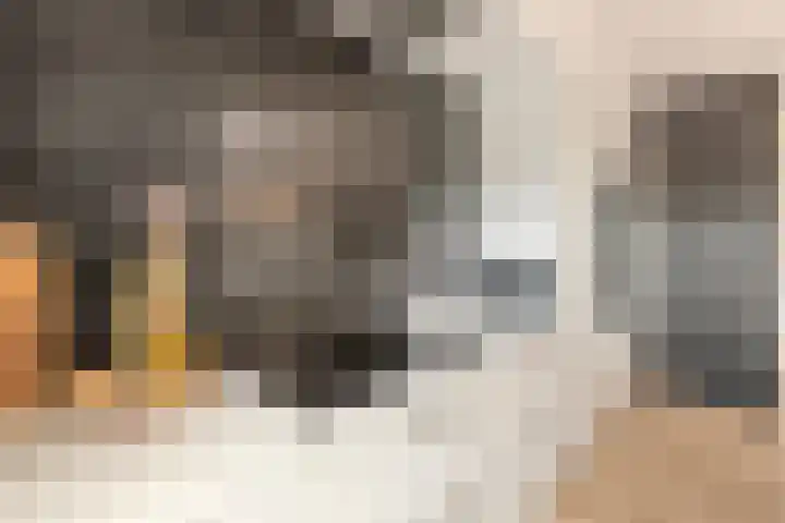 Heienlangdonk 69 Breda thumbnail 14