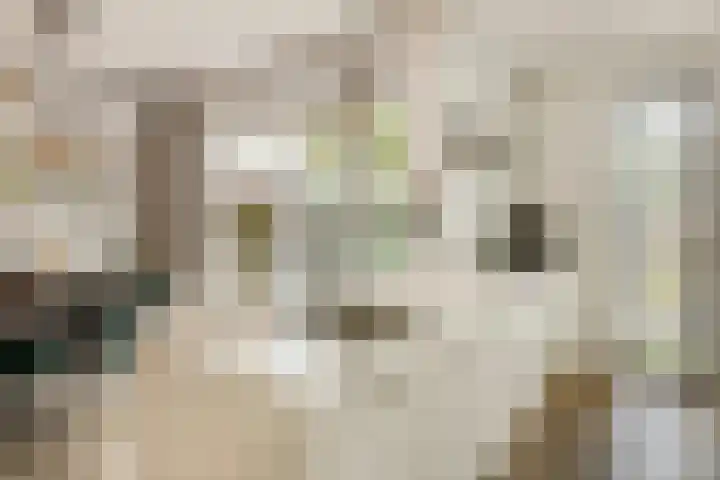 Heienlangdonk 69 Breda thumbnail 16