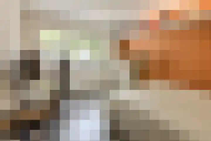 Heienlangdonk 69 Breda thumbnail 26