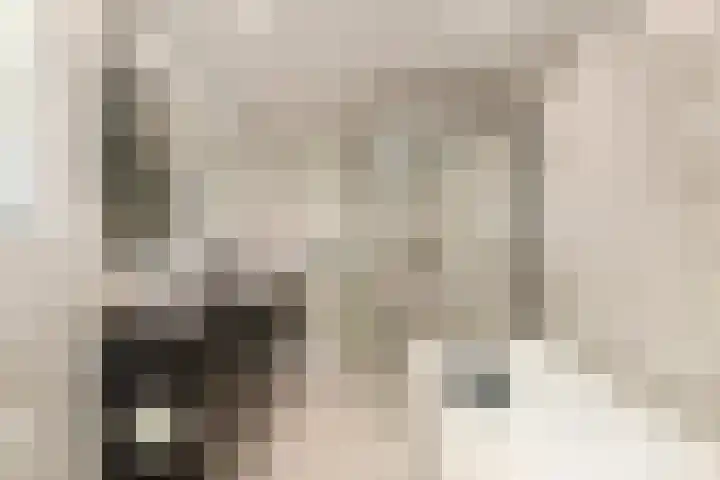 Heienlangdonk 69 Breda thumbnail 27