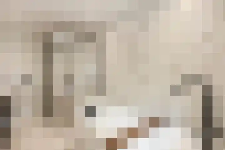 Heienlangdonk 69 Breda thumbnail 29