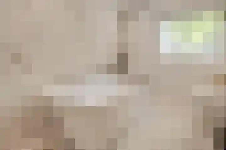Heienlangdonk 69 Breda thumbnail 32