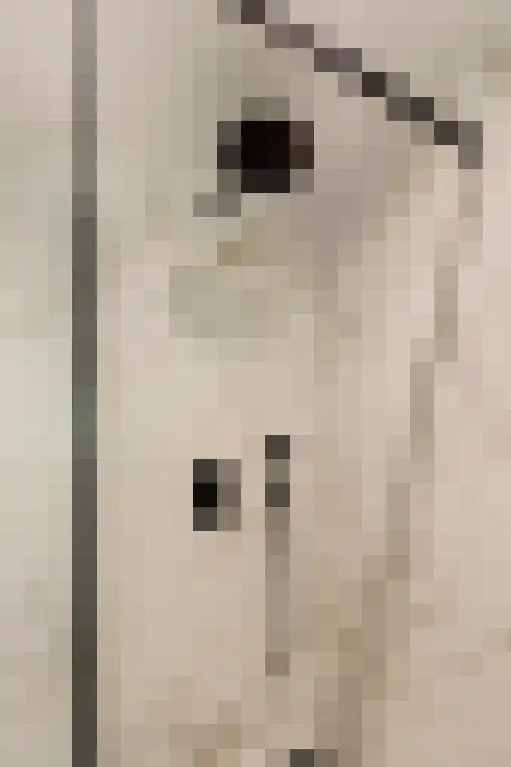 Heienlangdonk 69 Breda thumbnail 34
