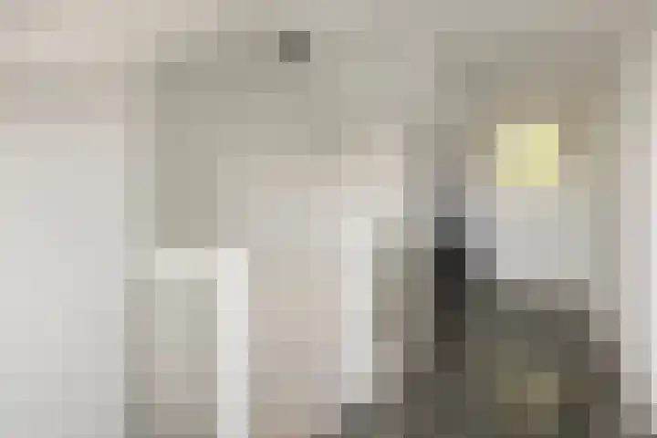 Heienlangdonk 69 Breda thumbnail 37