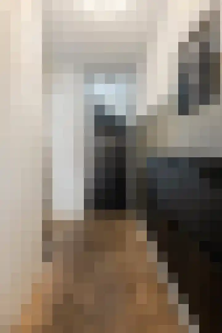 Heienlangdonk 69 Breda thumbnail 4