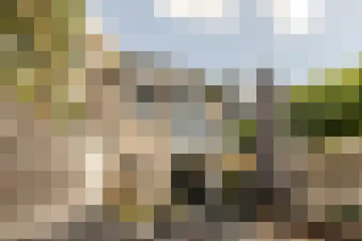Heienlangdonk 69 Breda thumbnail 41