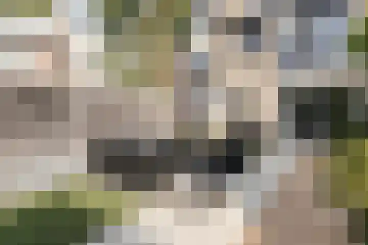 Heienlangdonk 69 Breda thumbnail 44