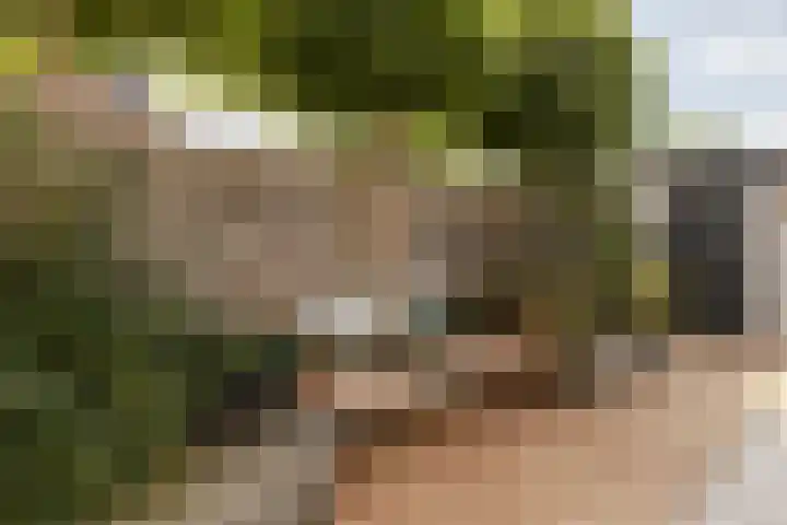 Heienlangdonk 69 Breda thumbnail 46