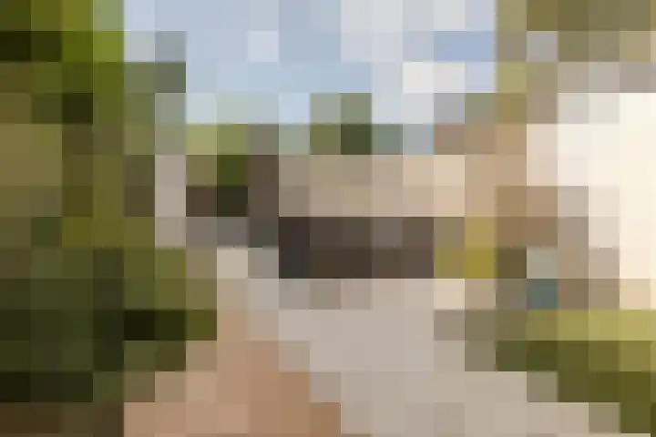 Heienlangdonk 69 Breda thumbnail 49
