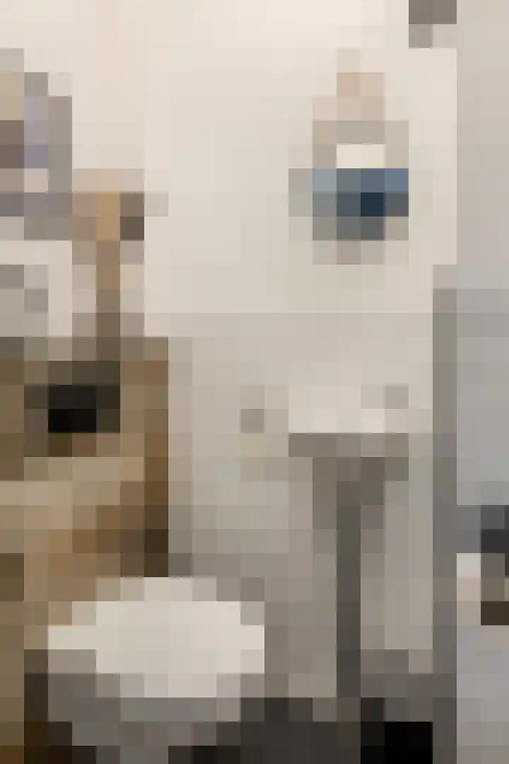 Heienlangdonk 69 Breda thumbnail 5