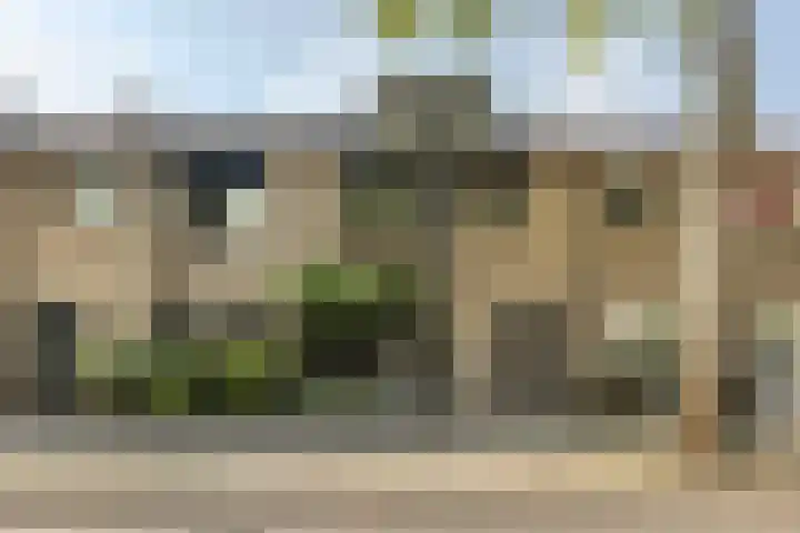 Heienlangdonk 69 Breda thumbnail 50