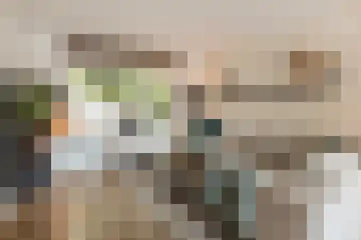 Heienlangdonk 69 Breda thumbnail 9