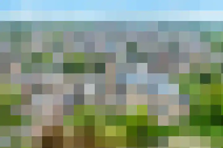 Heigank 6 Landgraaf thumbnail 29