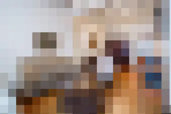 Heigank 6 Landgraaf thumbnail 6