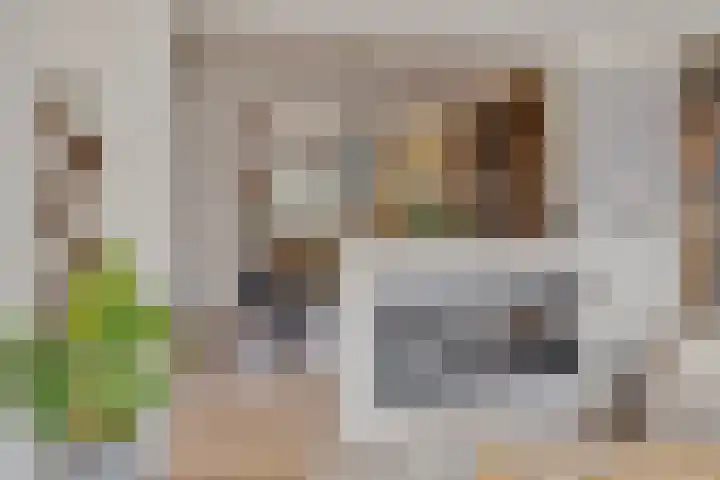Heihorst 4 Meijel thumbnail 11