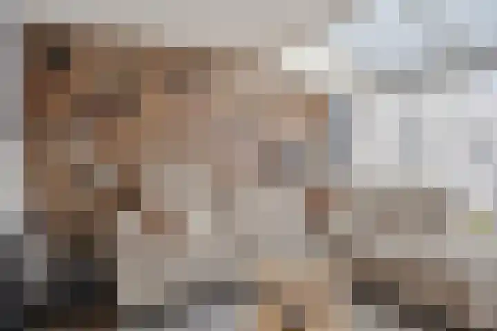 Heihorst 4 Meijel thumbnail 13