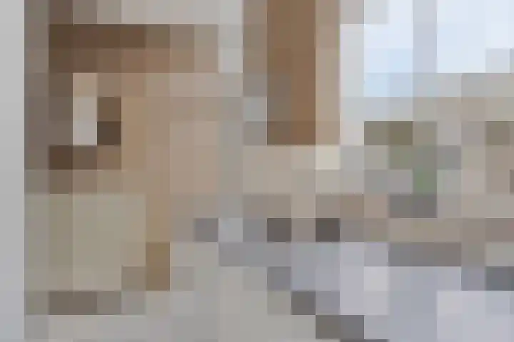 Heihorst 4 Meijel thumbnail 22