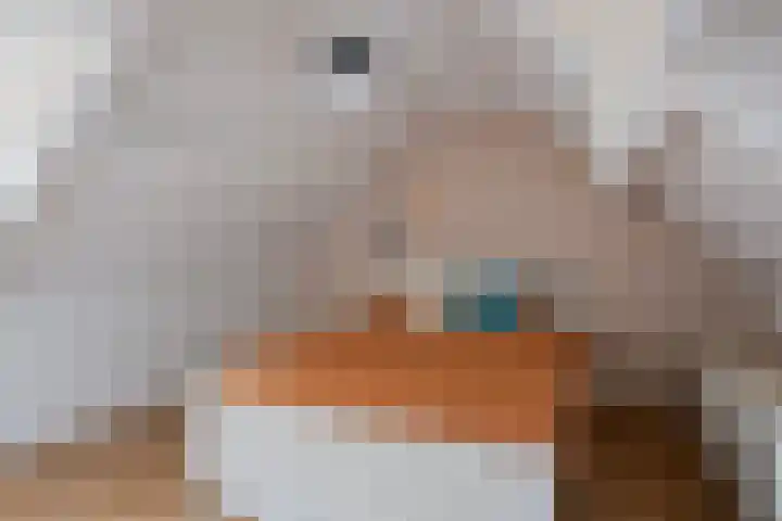 Heihorst 4 Meijel thumbnail 27