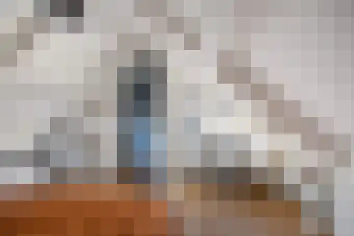 Heihorst 4 Meijel thumbnail 28