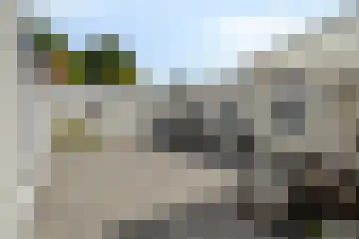 Heihorst 4 Meijel thumbnail 32