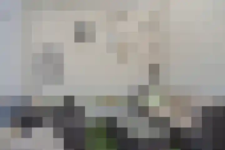 Heihorst 4 Meijel thumbnail 34