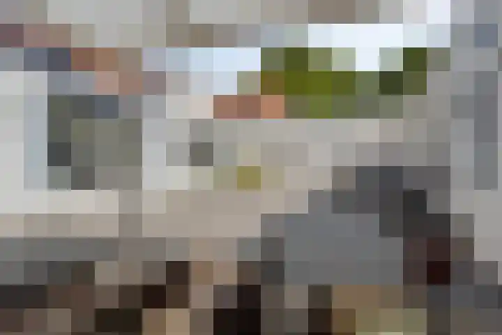 Heihorst 4 Meijel thumbnail 36