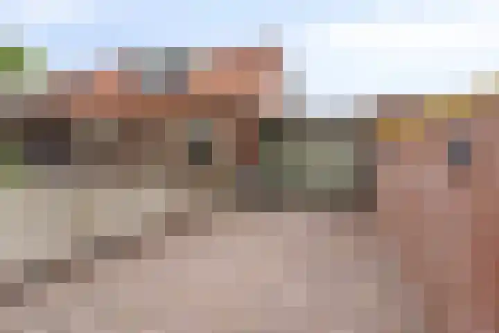 Heihorst 4 Meijel thumbnail 38