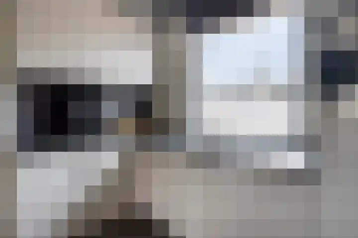Heijbocht 6 Hulsel thumbnail 10