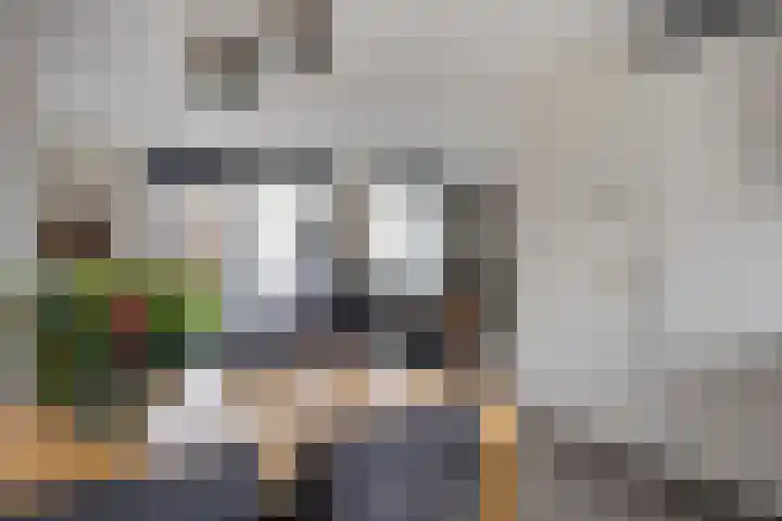 Heijbocht 6 Hulsel thumbnail 11