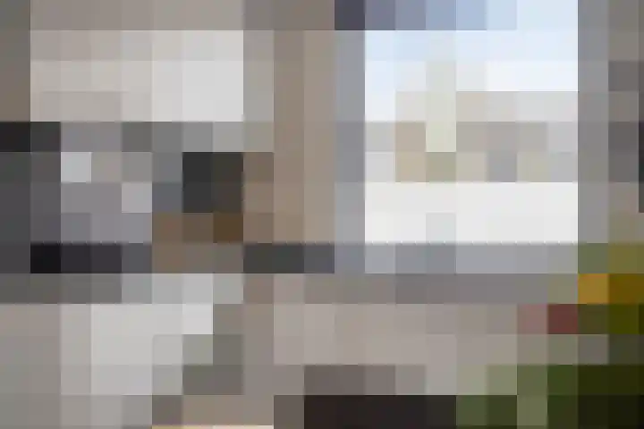 Heijbocht 6 Hulsel thumbnail 12